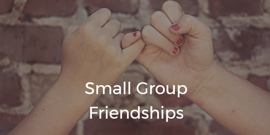 Small Group Friendships