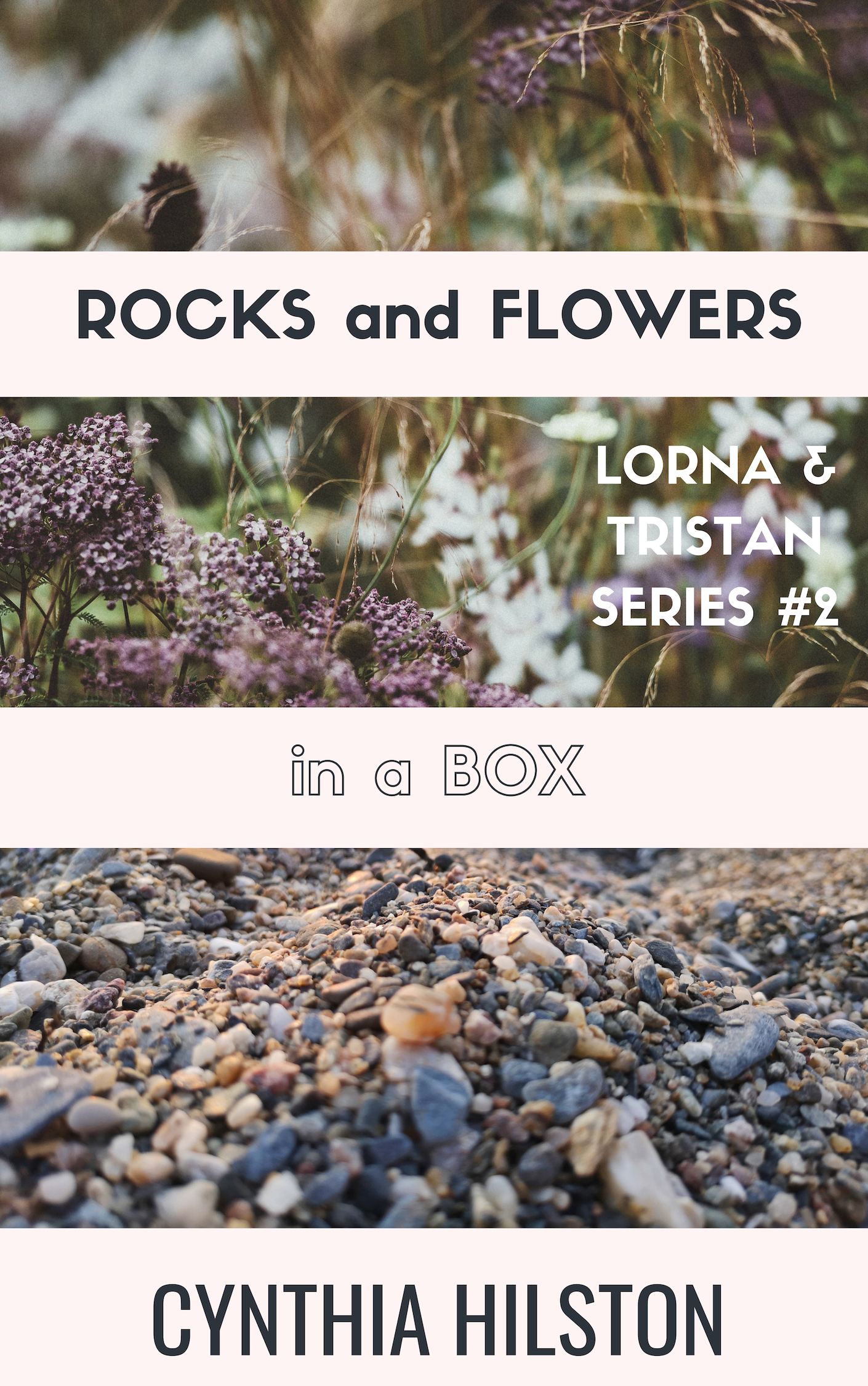 Rocks and Flowers in a Box by Cynthia Hilston #Spotlight #BlogBlitz (@cynthiahilston)  @RaRaResources #RachelsRandomResources #RocksAndFlowersInABox